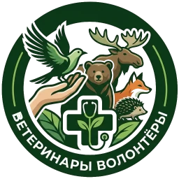 Логотип Фонда