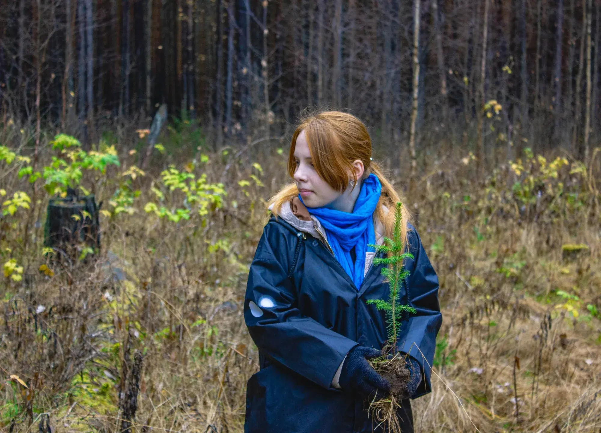 Волонтеры в работе 1