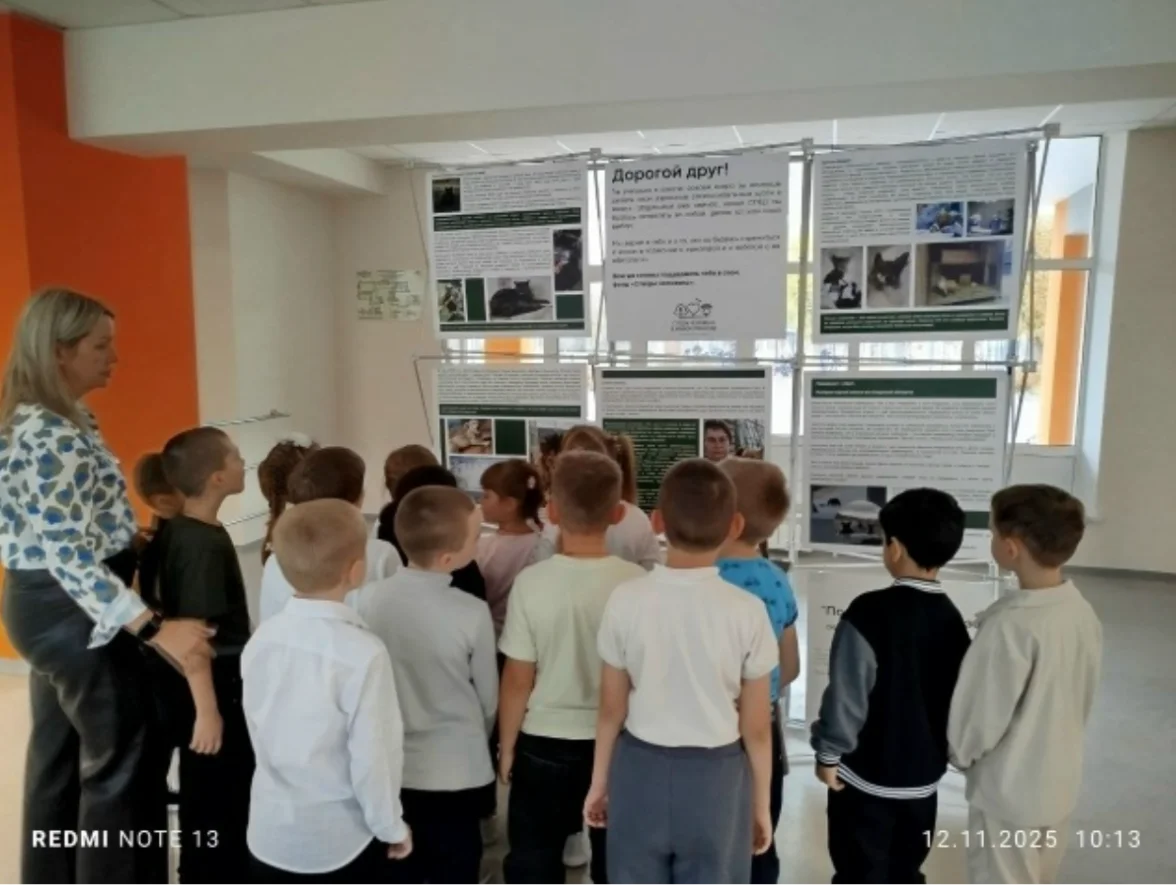 Gallery 5