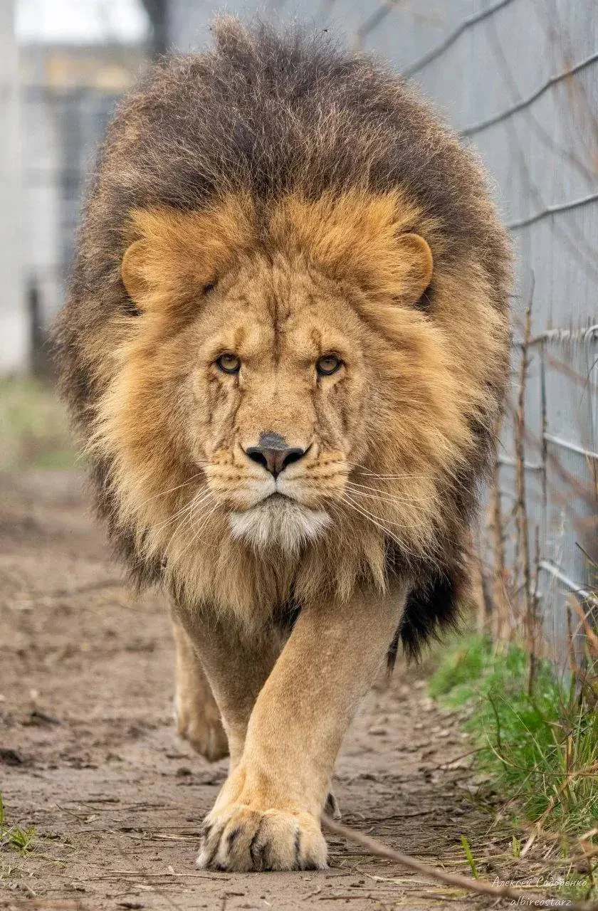 Галерея 3