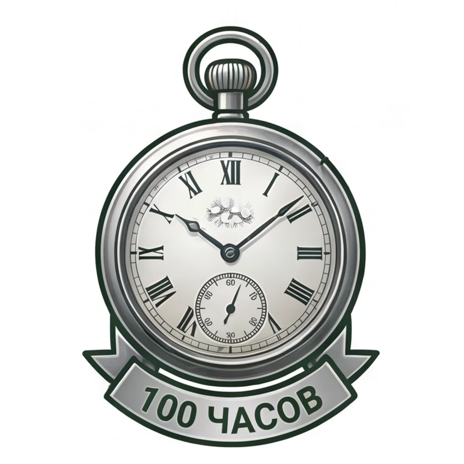 100 часов