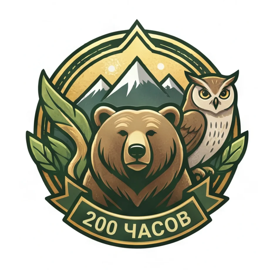 200 часов