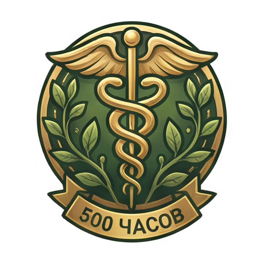500 часов