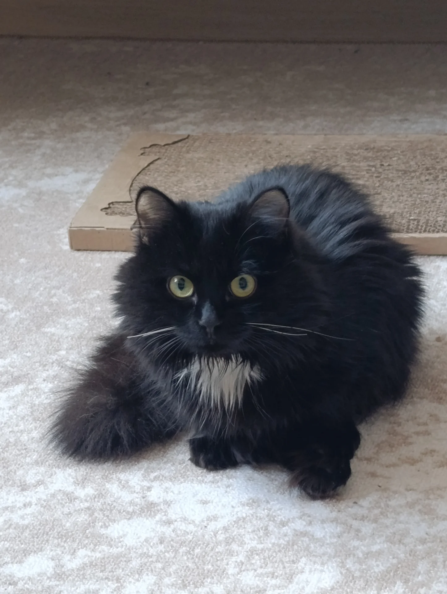 Юлия Клименко