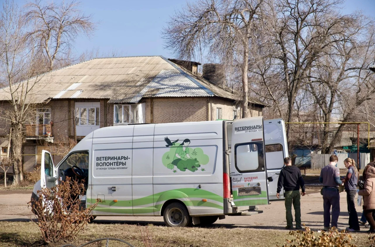 Волонтерский опыт с командой ВЕТЕРИНАРОВ-ВОЛОНТЕРОВ: как превратить помощь диким животным в конкурентное преимущество на рынке труда
